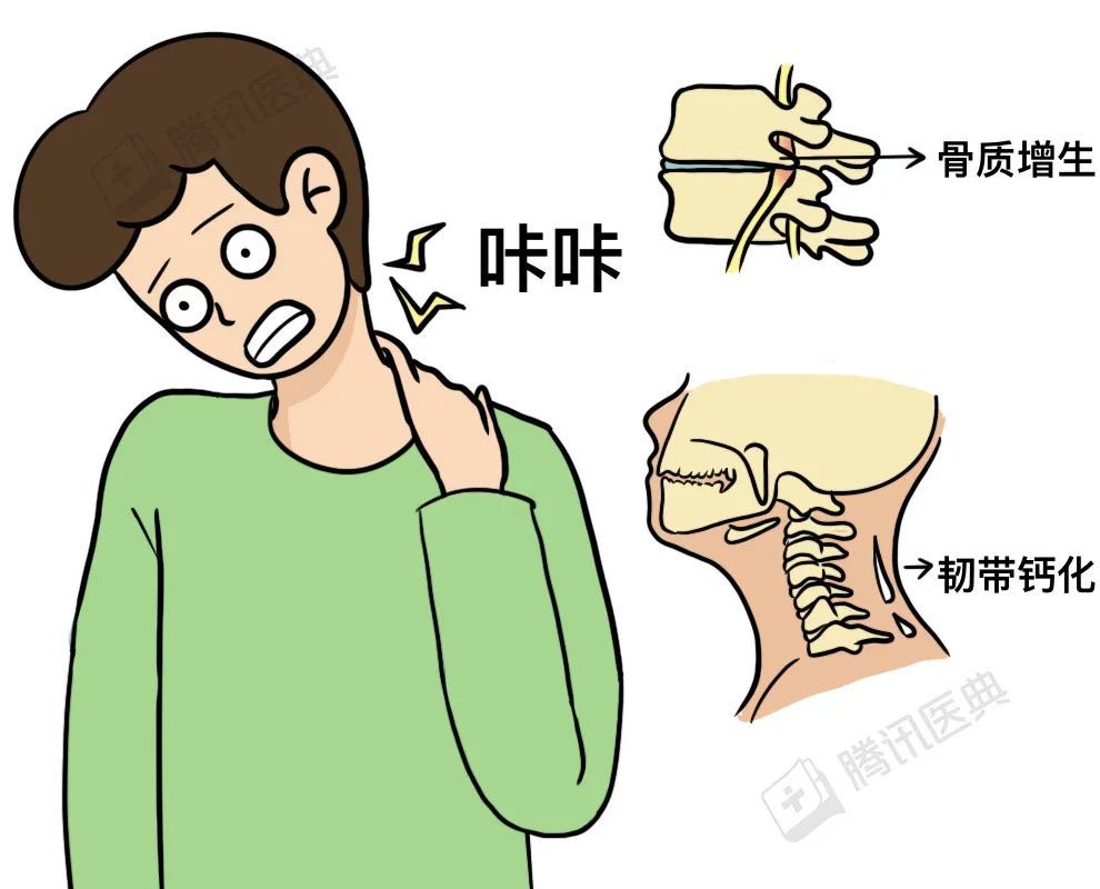 枕头高点好，还是矮点好？答案只有这一个(图7)