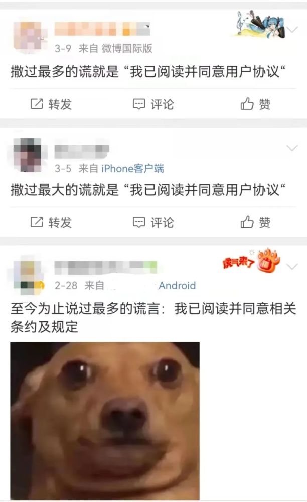 已阅读并同意？网友：这是我撒过最多的谎(图2)