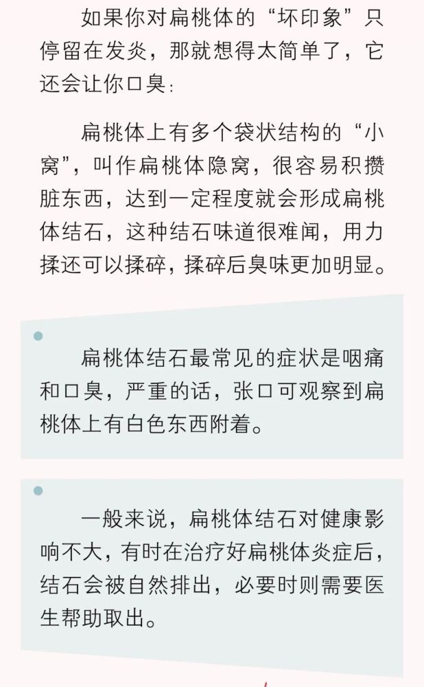 为什么扁桃体总是发炎，什么是扁桃体？(图5)