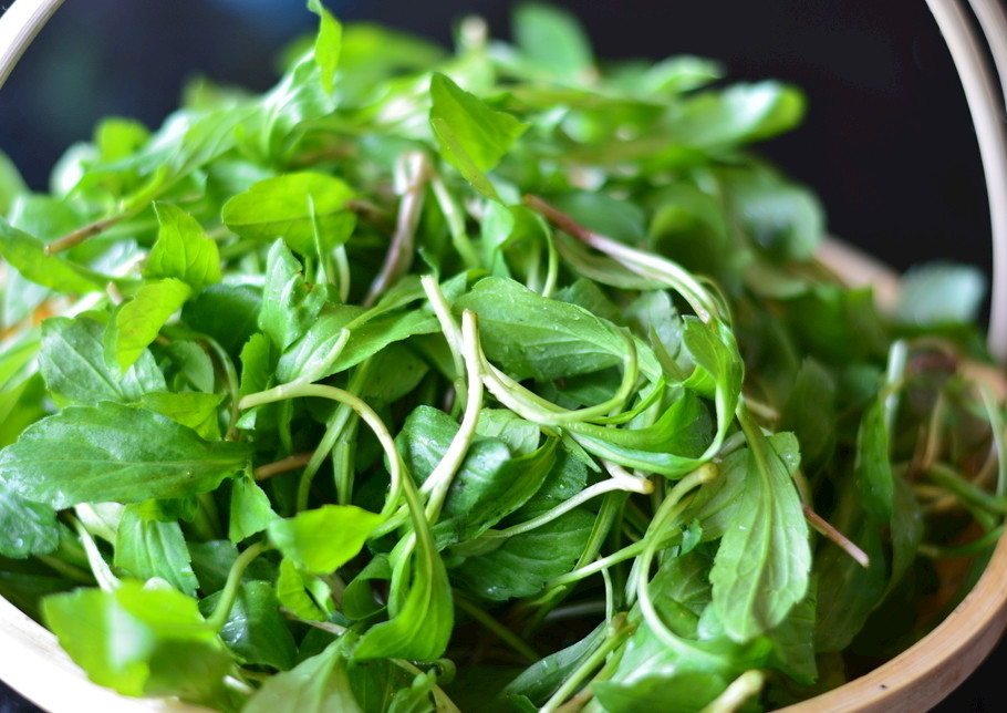 春天挖野菜，带你认识20种不同的野菜，营养丰富，凉拌调馅都好吃(图12)