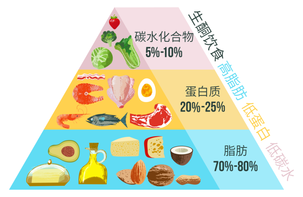 不吃饭只吃肉很减肥，但我劝你别这么做(图4)