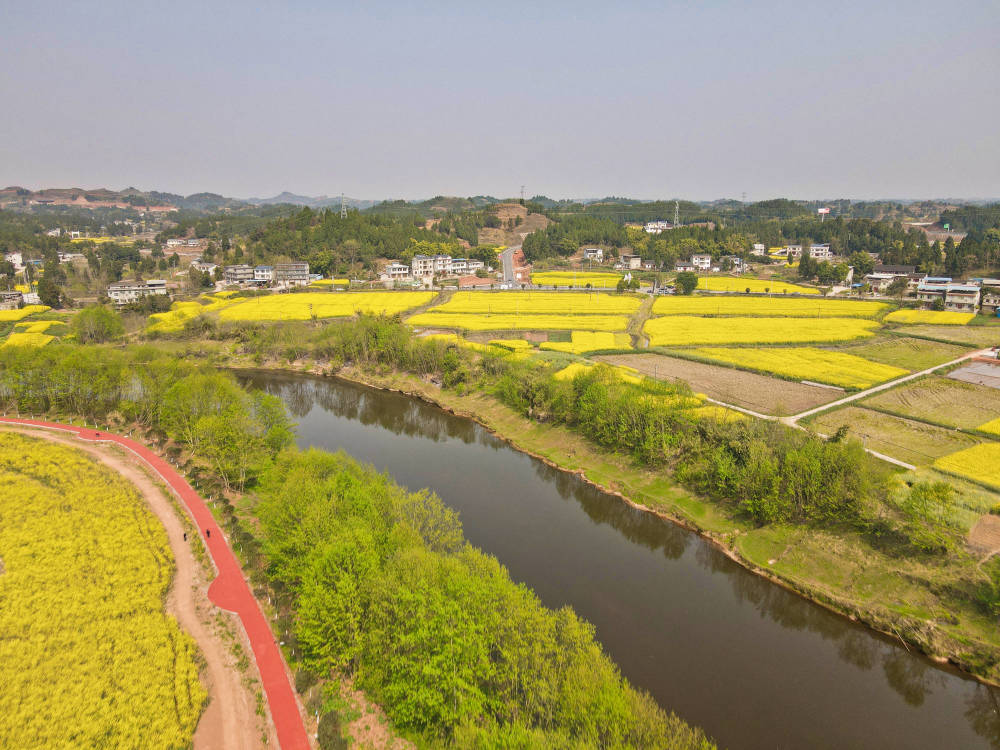 重庆最美赏花地在哪？潼南油菜花名列前茅，栽种历史已经500年(图4)