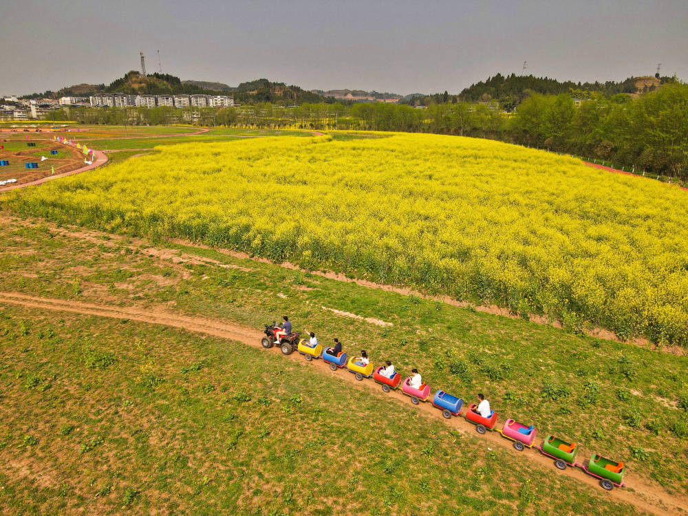 重庆最美赏花地在哪？潼南油菜花名列前茅，栽种历史已经500年(图10)