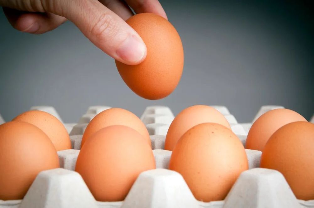 每天吃一个鸡蛋有什么好处？关于鸡蛋的4个常见误解！