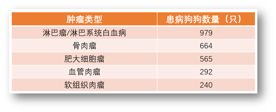 狗狗患癌风险排行榜最新出炉，看看你家毛孩子排第几？(图2)