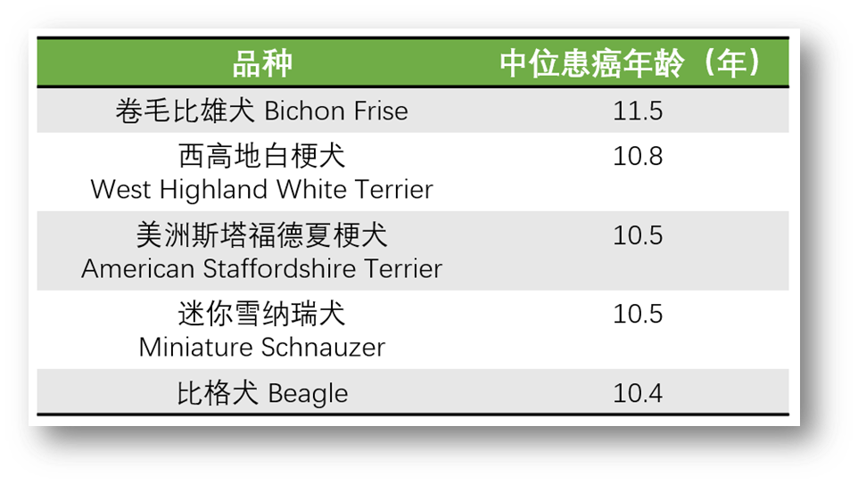 狗狗患癌风险排行榜最新出炉，看看你家毛孩子排第几？(图5)